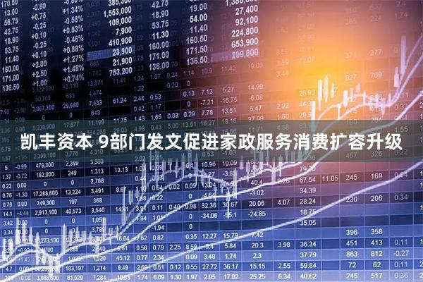 凯丰资本 9部门发文促进家政服务消费扩容升级