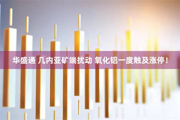 华盛通 几内亚矿端扰动 氧化铝一度触及涨停！