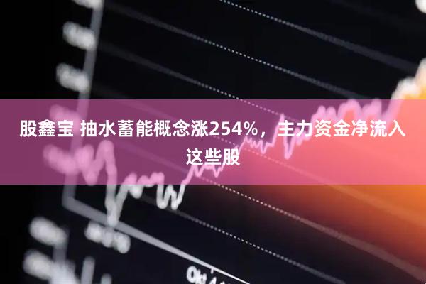 股鑫宝 抽水蓄能概念涨254%，主力资金净流入这些股