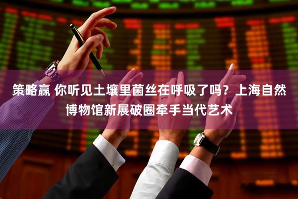 策略赢 你听见土壤里菌丝在呼吸了吗？上海自然博物馆新展破圈牵手当代艺术